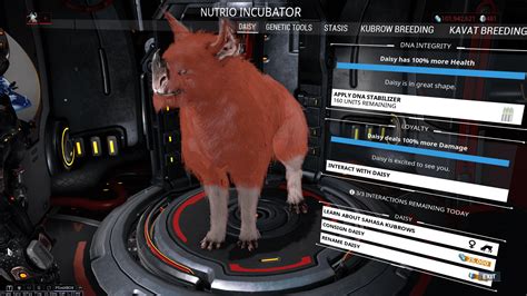 omega kubrow